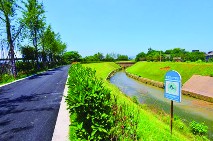 白鹭纷飞、鱼儿畅游, 霞湾港水质环境变好迎来黑水鸡觅食