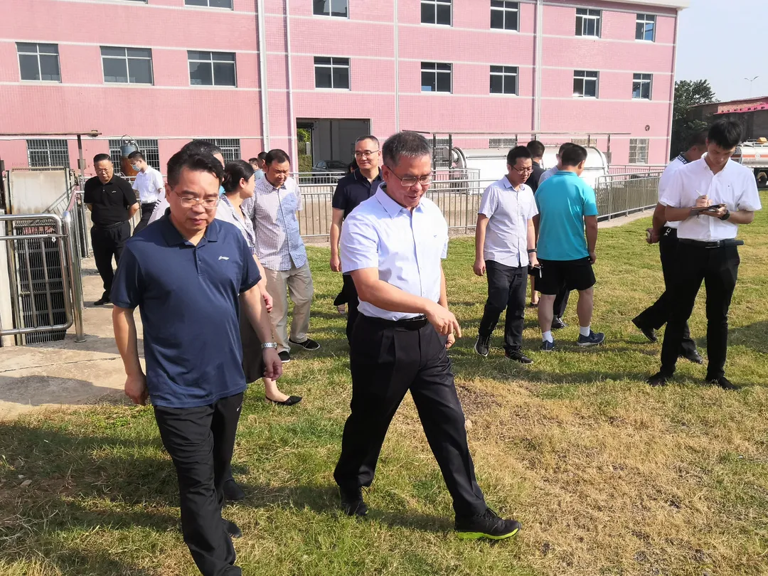 调研、督察生态环境问题整改等工作,曹慧泉陈恢清去了这些地方…