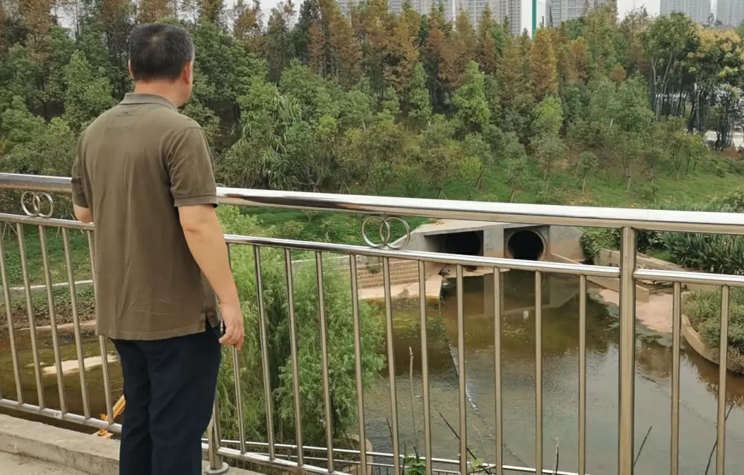 调研、督察生态环境问题整改等工作,曹慧泉陈恢清去了这些地方…