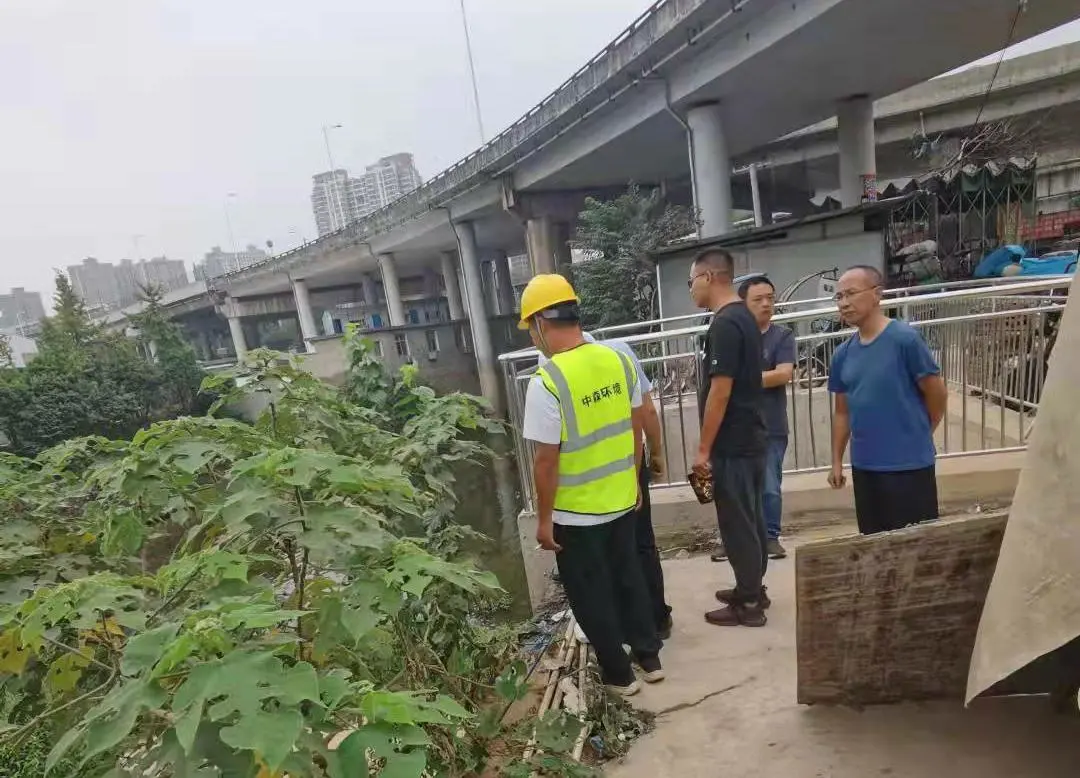 调研、督察生态环境问题整改等工作,曹慧泉陈恢清去了这些地方…